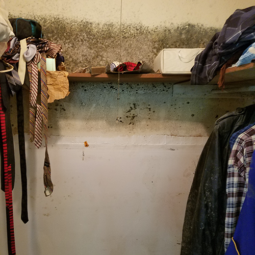 Waterline with mold in the top of a closet of a home that was flooded.