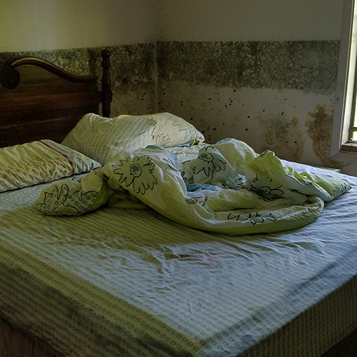 Water line with mold on the walls behind a bed in a home that flooded.