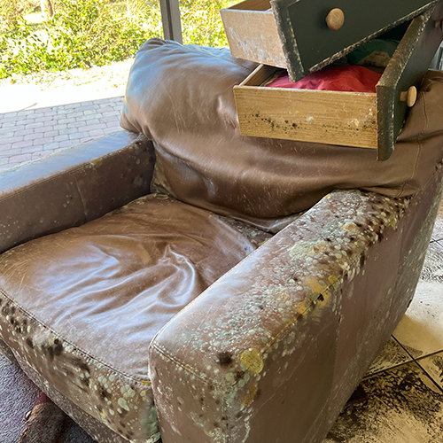 Moldy furniture in room with standing water after hurricane flooding.